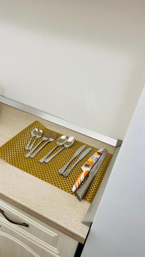 Târgu JiuGarsoniera Lux Centru Pietonal Tirgu - Jiuアパートメント エクステリア 写真